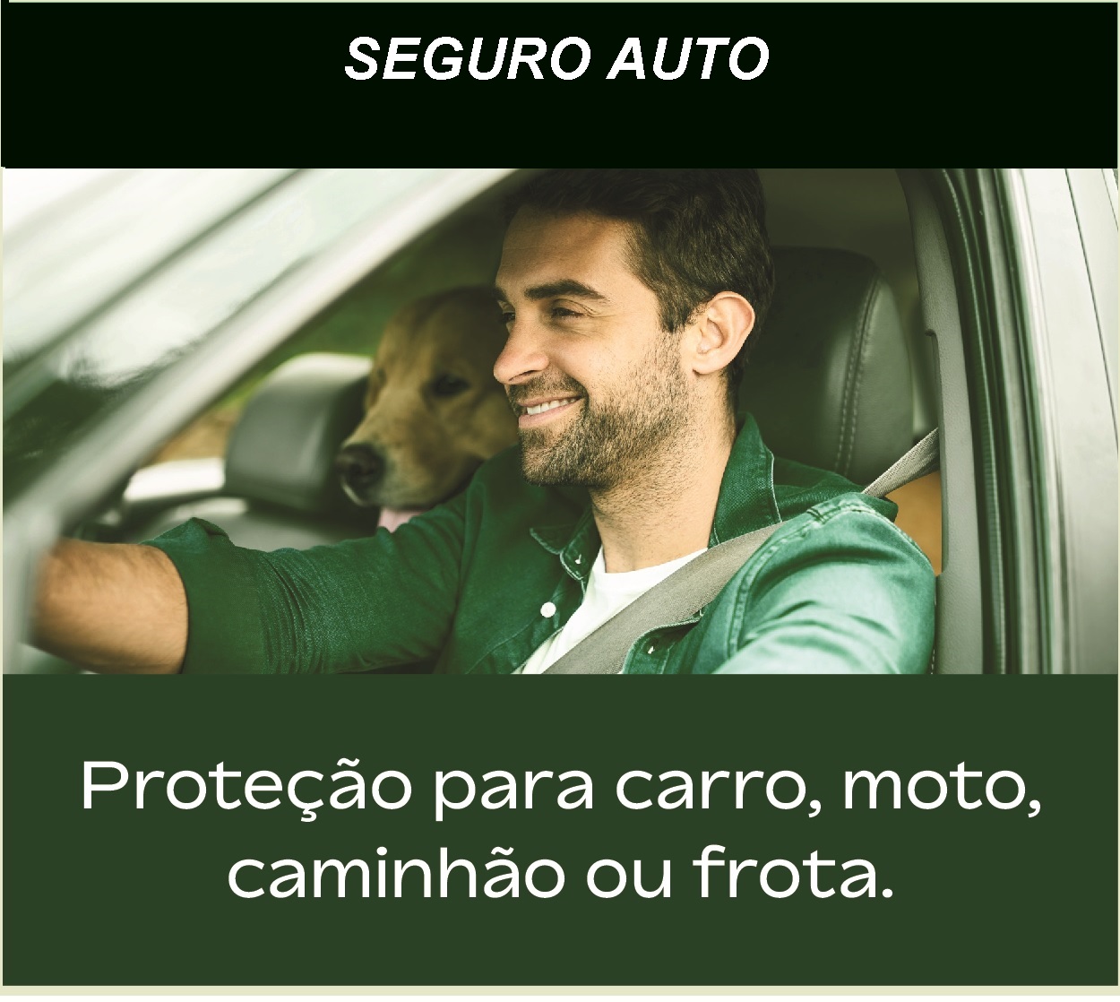 cote agora mesmo o seguro do seu carro, com a melhor seguradora